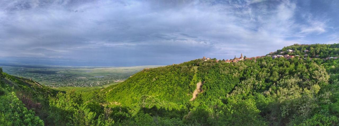 Apartament Favourite Sighnaghi Zewnętrze zdjęcie